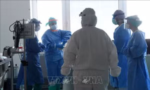 Cơ quan ứng phó và chuẩn bị khẩn cấp y tế châu Âu sẵn sàng đi vào hoạt động