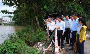 Khảo sát, khắc phục các vị trí sạt lở, đảm bảo an toàn cho người dân Cần Thơ