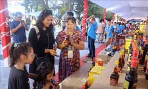 Kiên Giang: Khai mạc Festival Nước mắm Phú Quốc truyền thống trăm năm, lần I - năm 2025