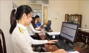 Từ 1/7 quy định rõ 10 hành vi bị coi là trốn thuế