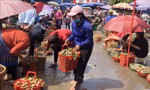 Xóa bỏ, di dời chợ tự phát lấn chiếm lòng, lề đường
