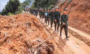 Chương trình công tác năm 2025 của Ban Chỉ đạo Phòng thủ dân sự quốc gia