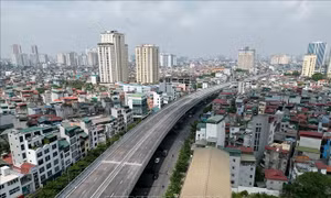 Cảnh báo rủi ro 'đu đỉnh' trong những cơn 'sốt đất'