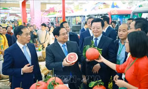 Điểm tin kinh tế Việt Nam nổi bật ngày 2/2/2026