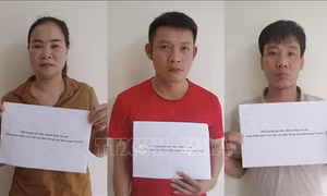 Lừa đảo chiếm đoạt tài sản bằng hình thức tráo thẻ cào điện thoại