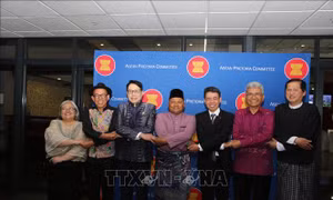 ASEAN và Nam Phi hiện thực hóa đối thoại bằng hành động cụ thể