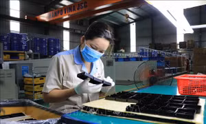 Kiểm soát tốt dịch bệnh, bảo đảm mục tiêu phát triển kinh tế - xã hội