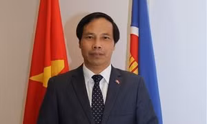 Ngoại giao kinh tế: Hợp tác năng lượng là điểm sáng trong quan hệ Việt Nam - Qatar