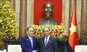 Thúc đẩy phát triển toàn diện quan hệ hợp tác Việt Nam - Nhật Bản