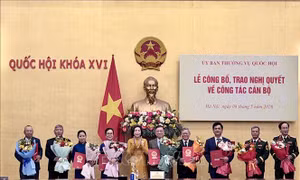 Phó Chủ tịch Quốc hội Nguyễn Thị Thanh dự Lễ Công bố, trao Nghị quyết của UBTVQH về công tác cán bộ 