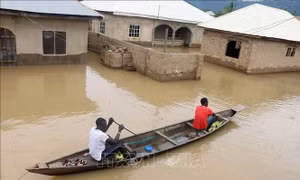 Nigeria: Lũ lụt nghiêm trọng phá huỷ hàng nghìn ngôi nhà, làm ít nhất 50 người thiệt mạng 