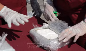 Hải quân Ấn Độ thu giữ lô ma túy cực lớn