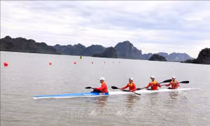 Khai mạc Giải Đua thuyền Canoeing vô địch các đội mạnh quốc gia năm 2026