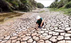 UNDP: Đảm bảo không ai bị bỏ lại phía sau trong ứng phó với biến đổi khí hậu