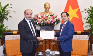 Bộ trưởng Bộ Ngoại giao Bùi Thanh Sơn tiếp Đại sứ Thổ Nhĩ Kỳ