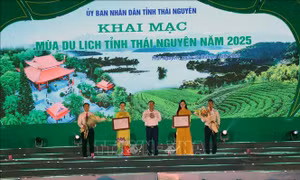 Trải nghiệm xứ Trà, đậm đà bản sắc