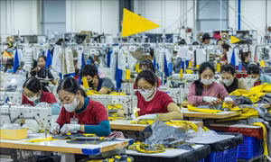 Kinh tế Việt Nam 6 tháng đầu năm: Chuyển dịch từ 'lượng' sang 'chất' qua góc nhìn ADB