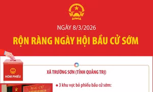 Ngày 8/3/2026: Rộn ràng ngày hội bầu cử sớm