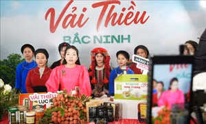Chuyển đổi số trước yêu cầu thực chất và dễ tiếp cận