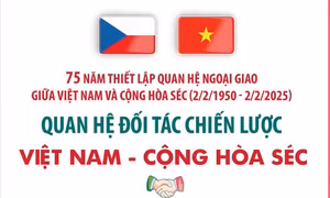 Quan hệ lên Đối tác chiến lược Việt Nam - Cộng hòa Séc