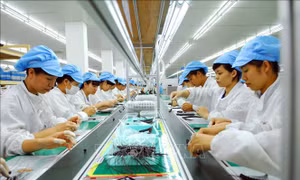 Khoa học và công nghệ - Yếu tố then chốt tạo sự phát triển bền vững cho doanh nghiệp