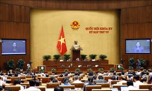Thông cáo báo chí số 15, Kỳ họp thứ 4, Quốc hội khóa XV