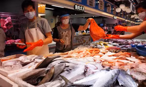 Bùng phát bệnh nhiễm trùng nguy hiểm liên quan đến nguồn cá nước ngọt ở Hong Kong