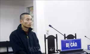Lời cảnh tỉnh với đối tượng tàng trữ pháo nổ trái phép