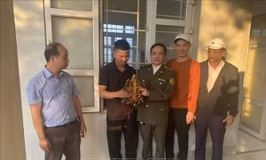Người dân giao nộp rùa núi viền thuộc nhóm nguy cấp, quý hiếm