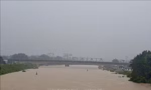 Cảnh báo lũ cao trên sông Lục Nam, sông Thương và sông Cửu Long