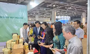 Khai mạc Hội chợ OCOP Quảng Ninh - Hè 2026