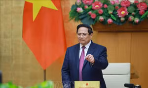Thủ tướng Phạm Minh Chính: Bí thư cấp ủy, Chủ tịch UBND phải chịu trách nhiệm khi để xảy ra vi phạm IUU