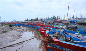 Ứng phó bão số 1: Không để bị động trước mọi tình huống