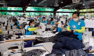 Việt Nam: Khởi đầu ổn định và bước đột phá mạnh mẽ của kinh tế tư nhân