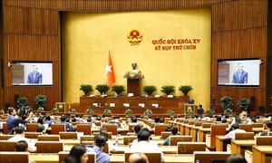 Bên lề Kỳ họp thứ 9, Quốc hội khóa XV: Kiến nghị điều chỉnh thời gian miễn thuế thu nhập doanh nghiệp