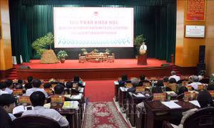 Phát triển tài nguyên dược liệu từ di sản của Đức Thánh Nguyễn Minh Không