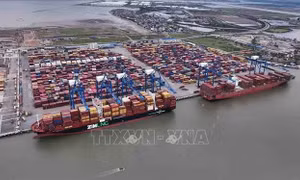 6 tháng, Việt Nam nhập siêu 16,65 tỷ USD