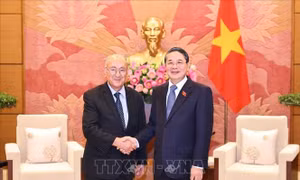 Phó Chủ tịch Quốc hội Nguyễn Đức Hải tiếp Chủ tịch Tổ chức Hỗ trợ đại học thế giới (Đức)