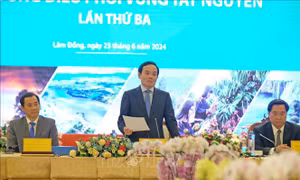 Phó Thủ tướng Trần Lưu Quang chủ trì hội nghị Hội đồng Điều phối vùng Tây Nguyên