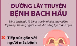 Đường lây truyền bệnh bạch hầu