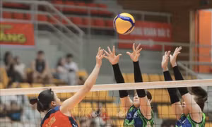 Khai mạc Giải bóng chuyền VĐQG 2026