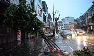 Trung Quốc tăng cường cứu trợ thiên tai sau bão Matmo