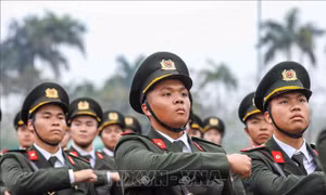 Kế hoạch triển khai thi hành Luật sửa đổi, bổ sung một số điều của Luật Sĩ quan Quân đội nhân dân Việt Nam