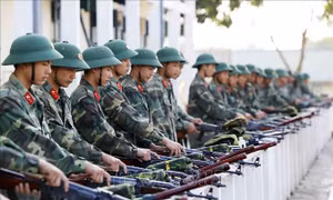 Quy định về trường của cơ quan nhà nước, tổ chức chính trị - xã hội, lực lượng vũ trang nhân dân