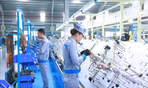Đôn đốc triển khai thực hiện các kịch bản tăng trưởng của từng địa phương năm 2025