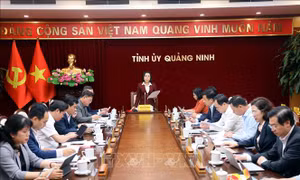 Hội đồng bầu cử Quốc gia kiểm tra, giám sát tại Quảng Ninh