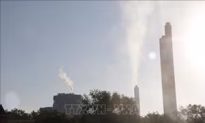 Lên phương án di dời các hộ dân bị ảnh hưởng từ Trung tâm Điện lực Vĩnh Tân