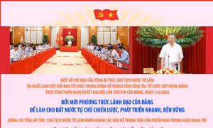 Trọng tâm công tác tổ chức xây dựng Đảng trong giai đoạn phát triển mới