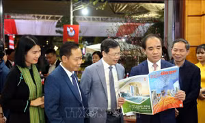 Sôi nổi hoạt động mừng Đảng, mừng Xuân Giáp Thìn tại các địa phương