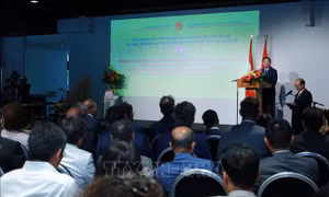 Vun đắp mối quan hệ Việt Nam - Hà Lan ngày càng phát triển thực chất, hiệu quả
